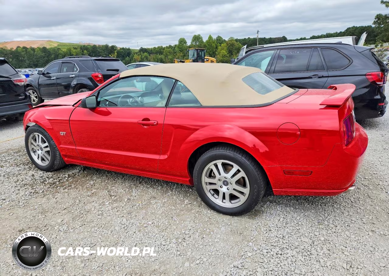 2005 Ford Mustang Gt VIN:1ZVFT85H555203715 - 2