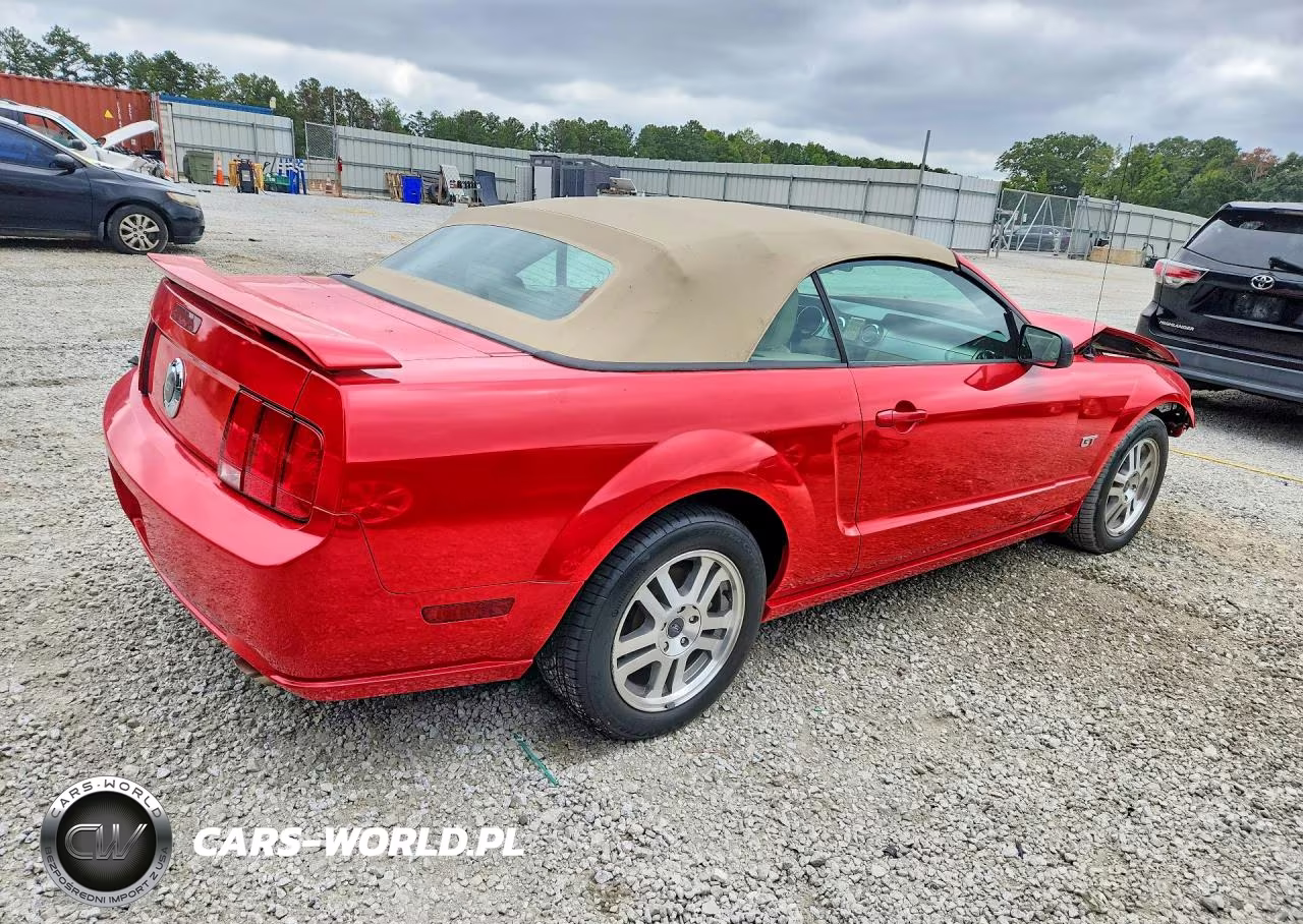 2005 Ford Mustang Gt VIN:1ZVFT85H555203715 - 3