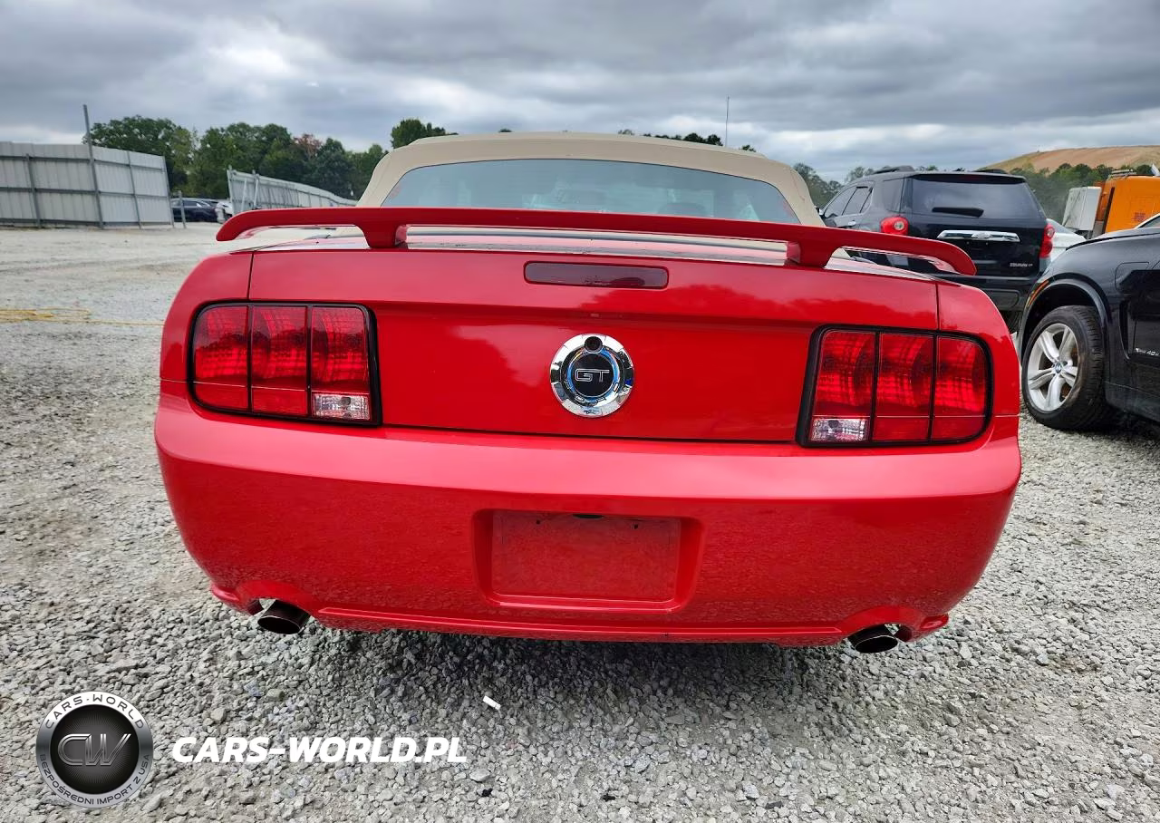 2005 Ford Mustang Gt VIN:1ZVFT85H555203715 - 6