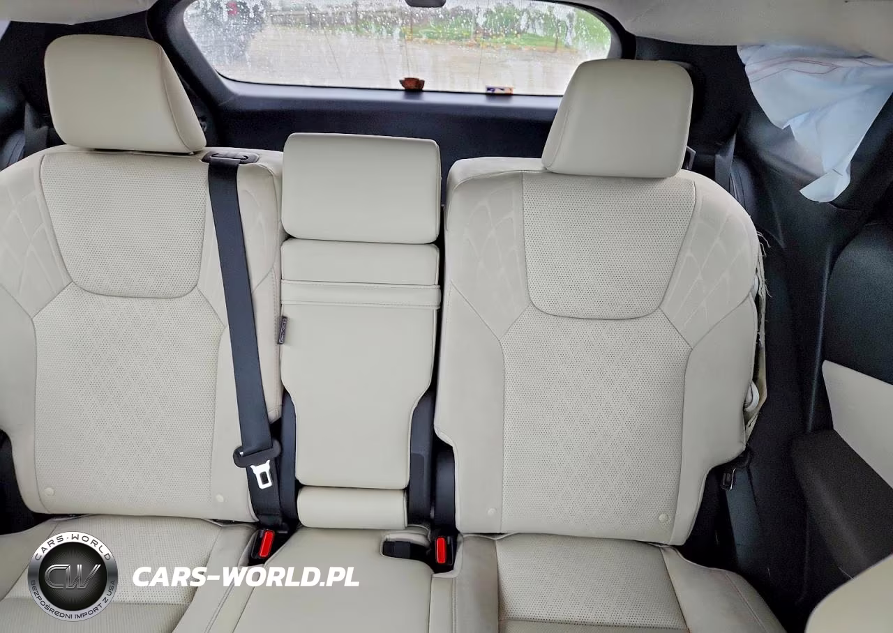 2023 Lexus Rx 350 Luxury VIN:2T2BAMCA4PC035783 - 10