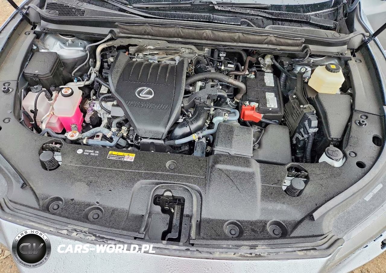 2023 Lexus Rx 350 Luxury VIN:2T2BAMCA4PC035783 - 12