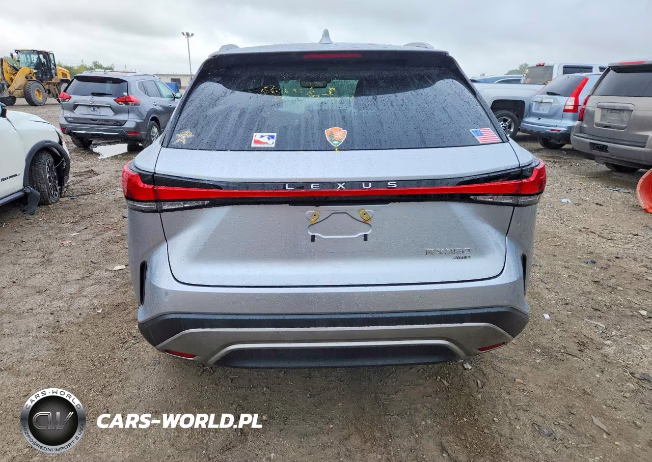 2023 Lexus Rx 350 Luxury VIN:2T2BAMCA4PC035783 - 6