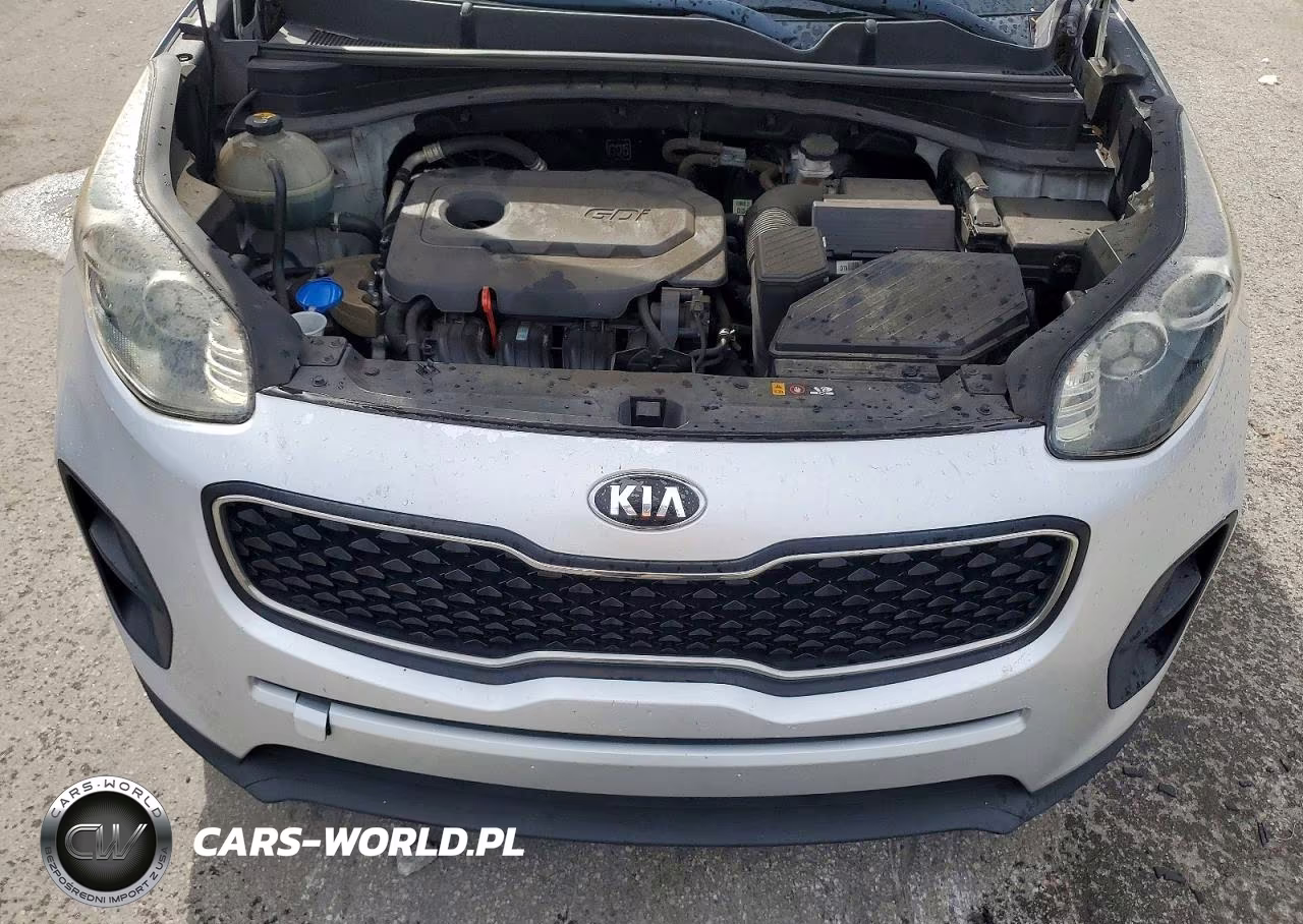 2019 Kia Sportage Lx VIN:KNDPM3AC6K7590261 - 12