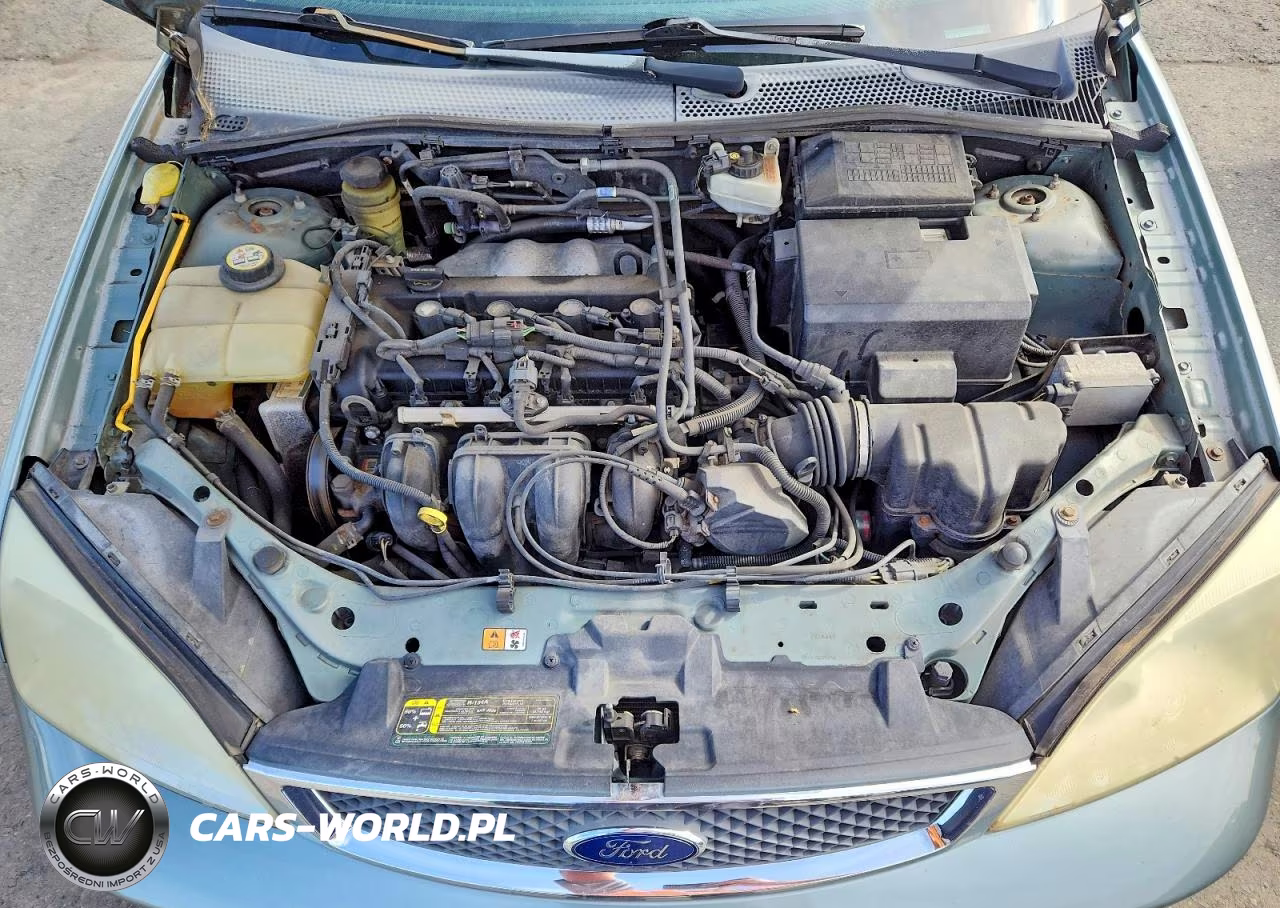 2005 Ford Focus Zxw VIN:1FAHP36N95W253427 - 11