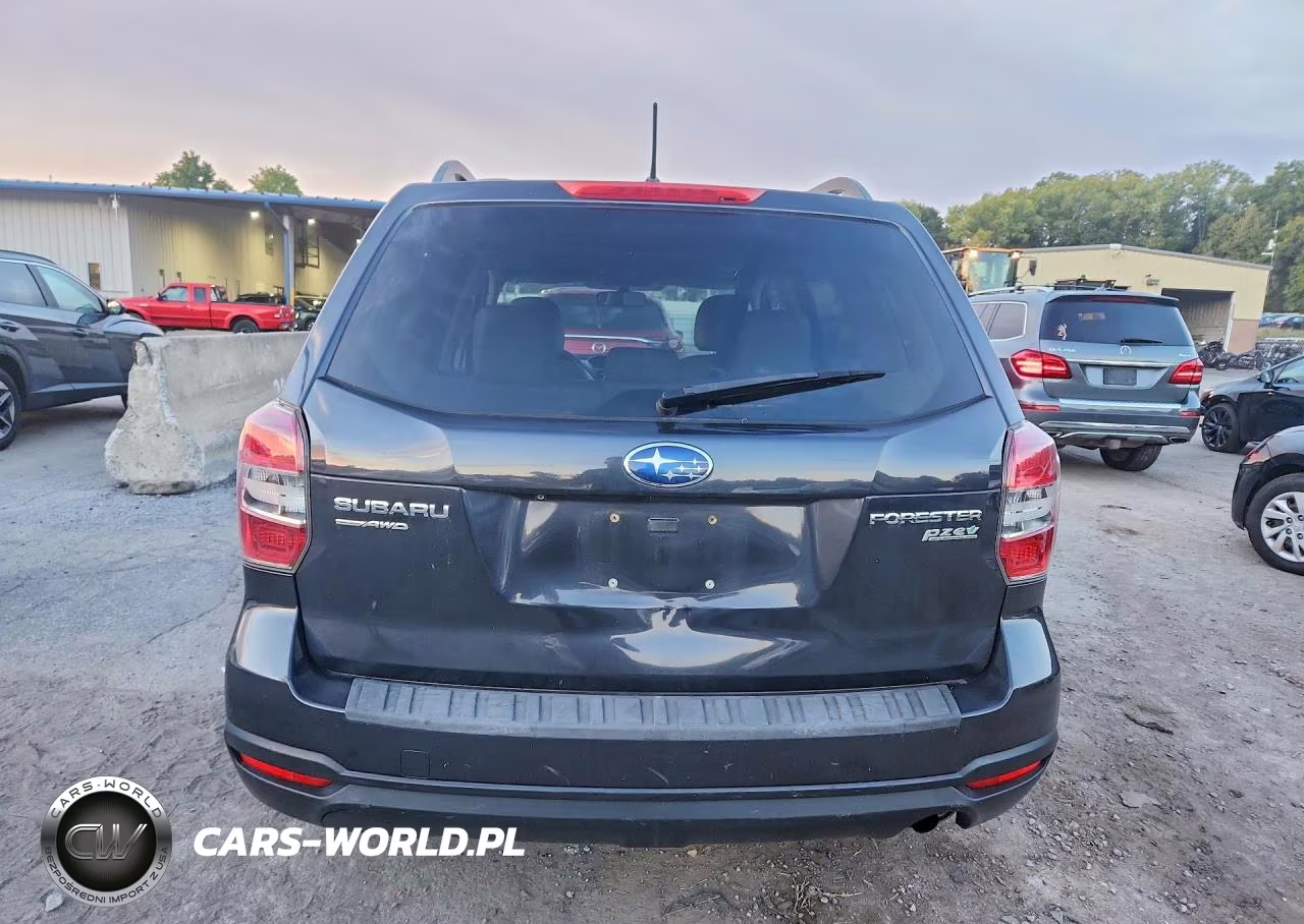 2015 Subaru Forester 2.5I Premium VIN:JF2SJADC4FH464789 - 6