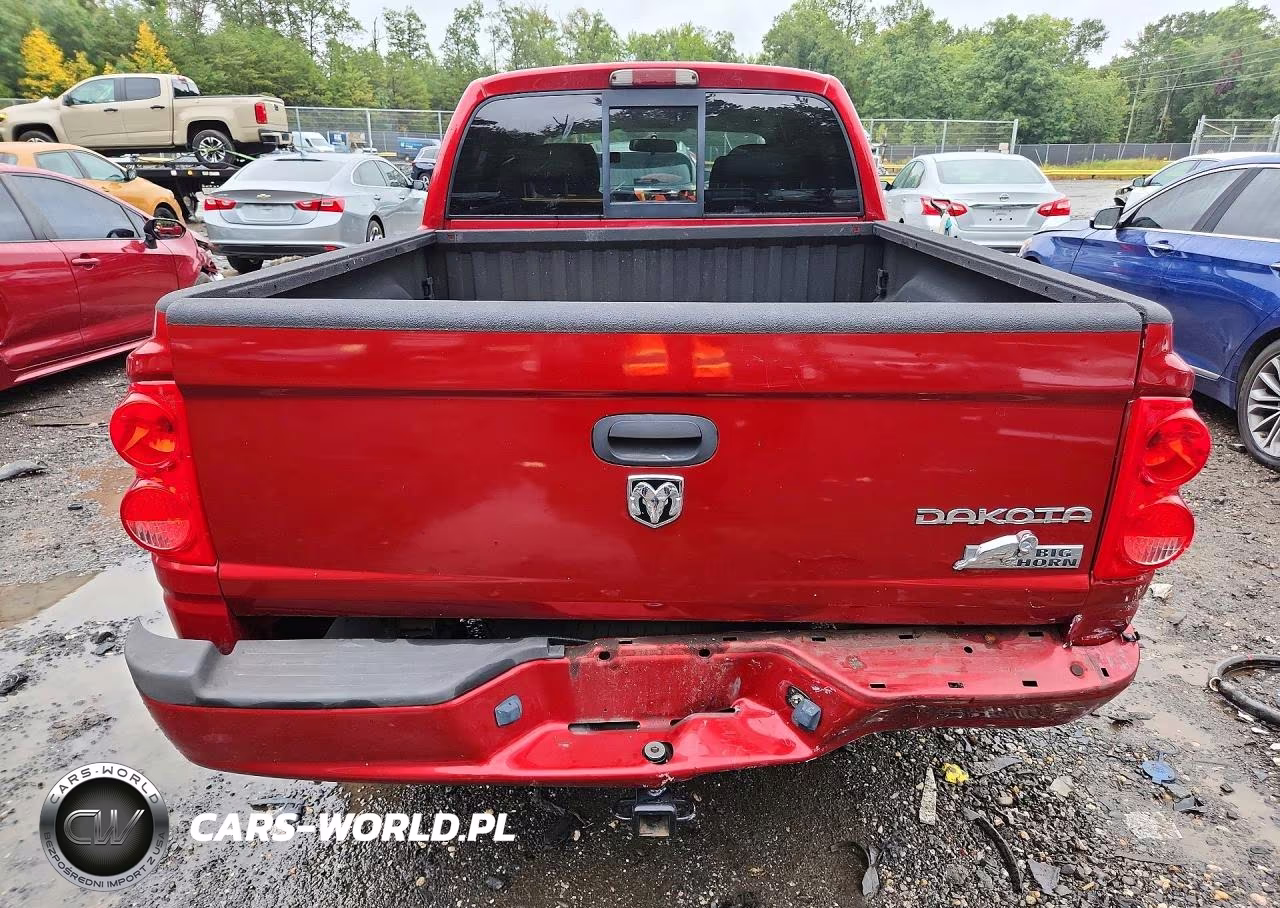2010 Dodge Dakota Sxt VIN:1D7CE3GK0AS241415 - 6