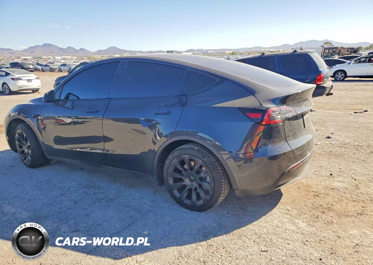 2024 Tesla Model Y VIN:7SAYGDED7RF043950 - 2