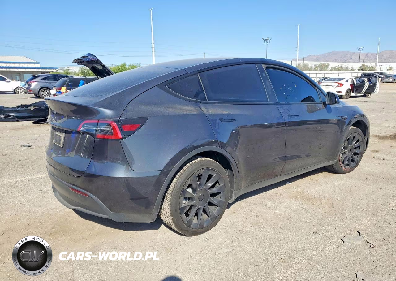 2024 Tesla Model Y VIN:7SAYGDED7RF043950 - 3