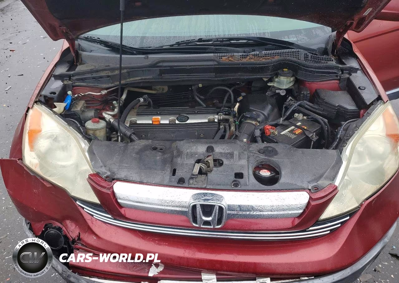 2009 Honda Cr-V Exl VIN:JHLRE38729C000219 - 12
