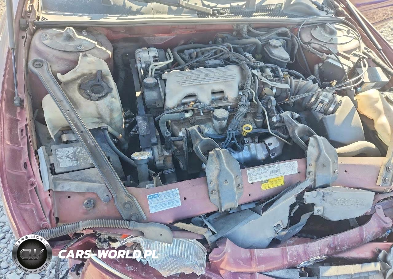 1998 Chevrolet Lumina Base VIN:2G1WL52M9W1103387 - 11