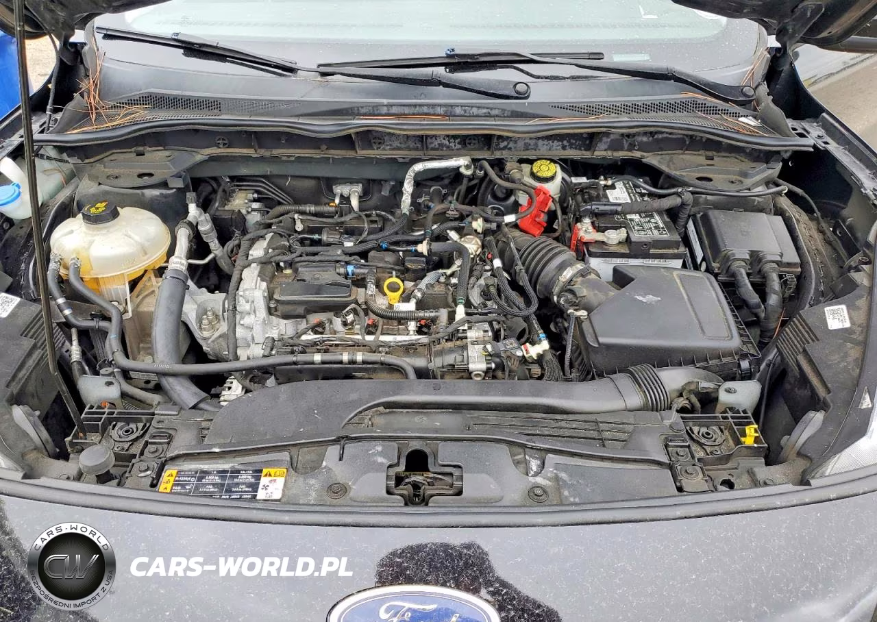 2021 Ford Escape Sel VIN:1FMCU9H67MUA65565 - 11