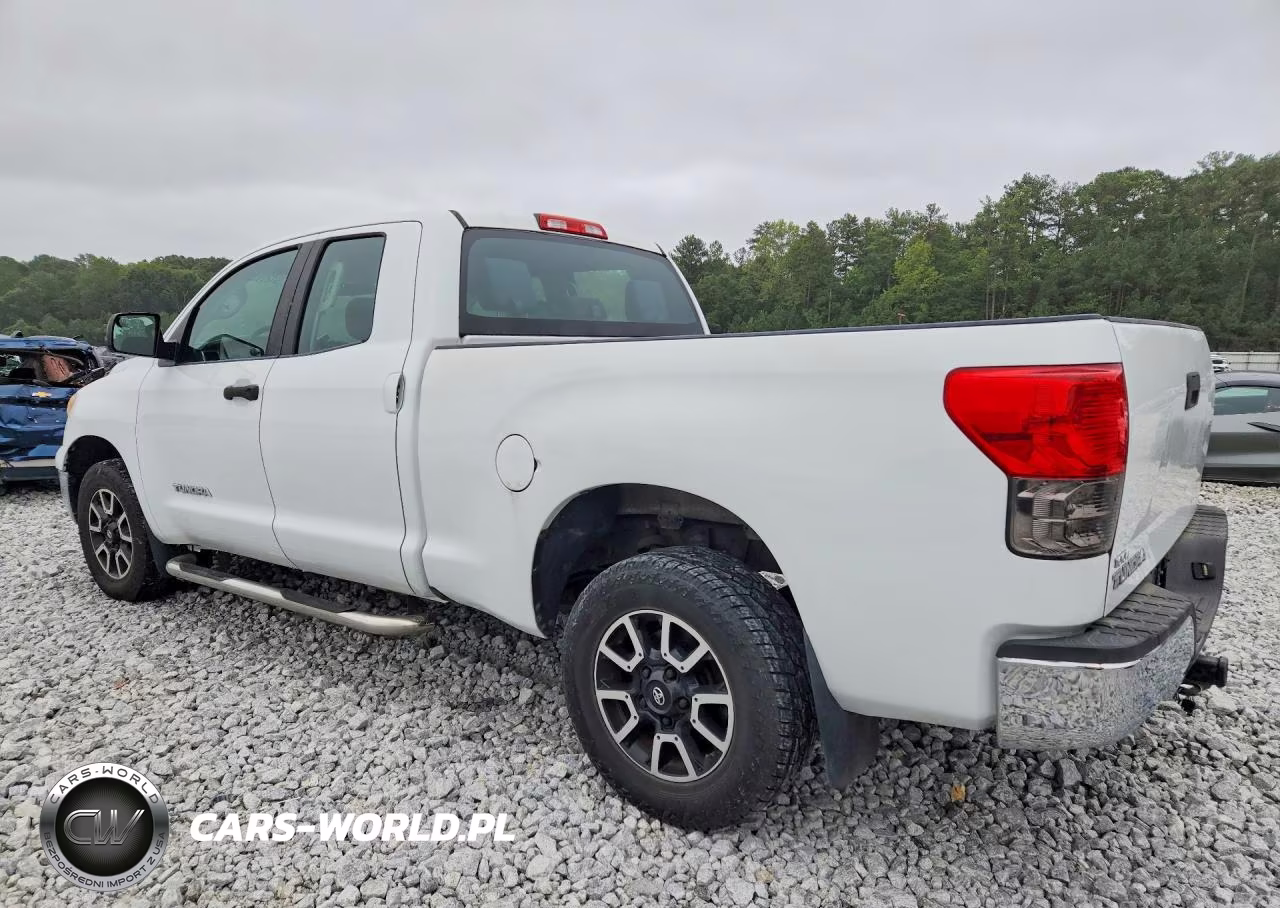 2009 Toyota Tundra Grade VIN:5TFRU54169X019894 - 2