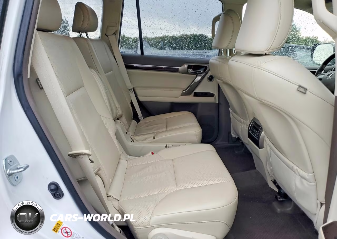 2017 Lexus Gx 460 Premium VIN:JTJJM7FX2H5170409 - 11