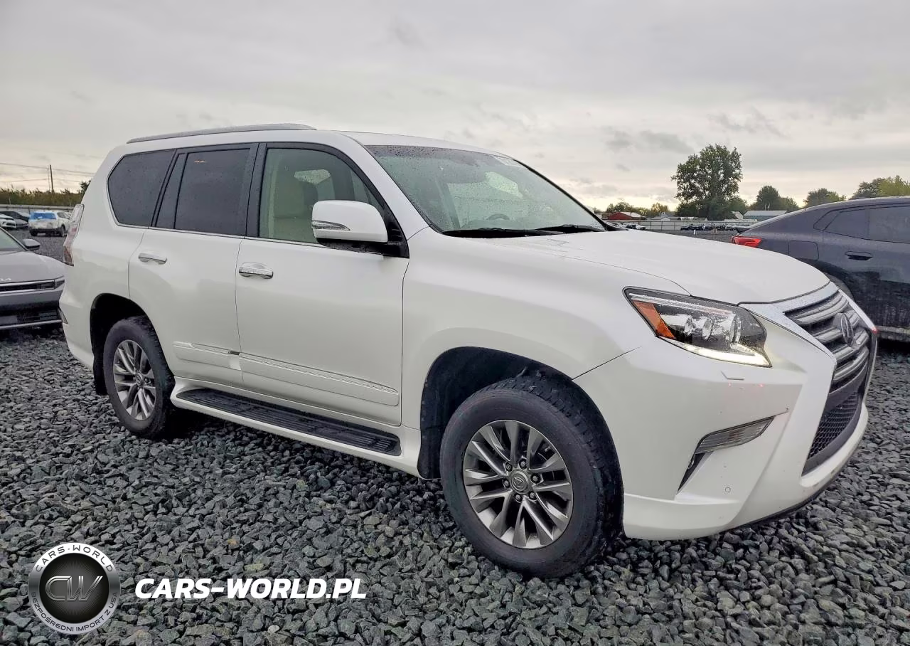 2017 Lexus Gx 460 Premium VIN:JTJJM7FX2H5170409 - 4