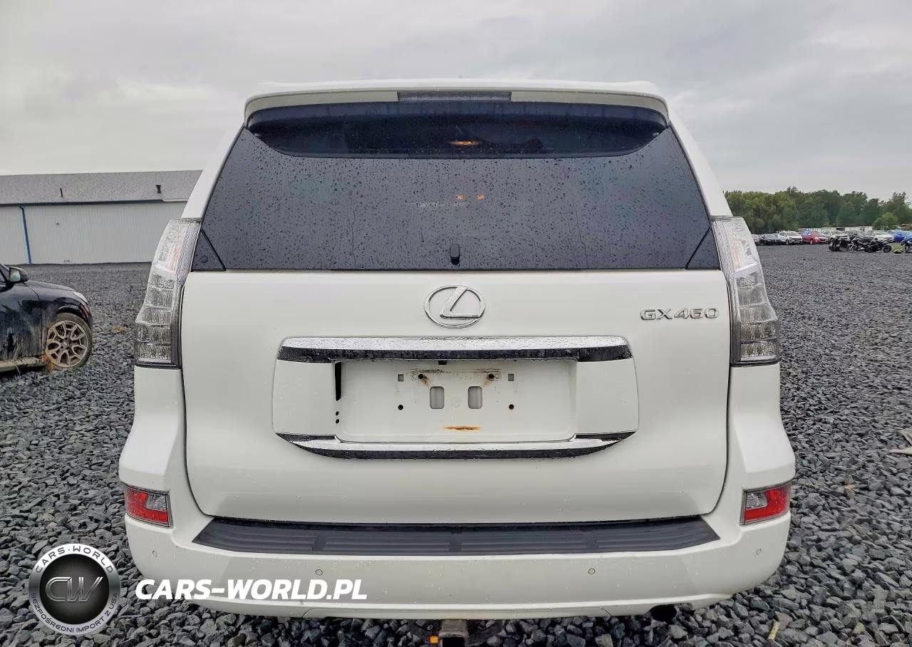 2017 Lexus Gx 460 Premium VIN:JTJJM7FX2H5170409 - 6