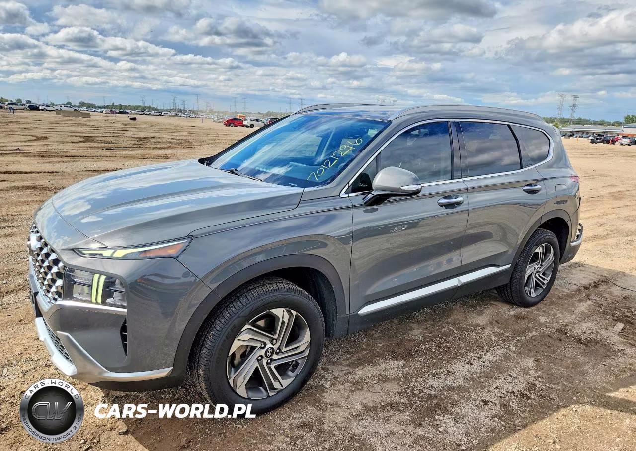 2021 Hyundai Santa Fe Sel VIN:5NMS3DAJ8MH329243 - 1