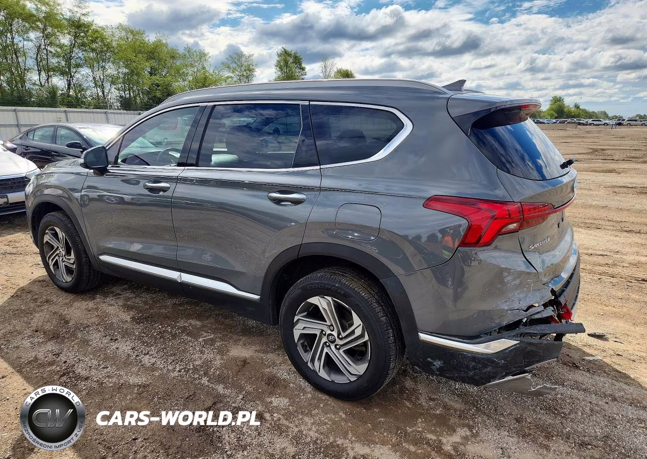 2021 Hyundai Santa Fe Sel VIN:5NMS3DAJ8MH329243 - 2