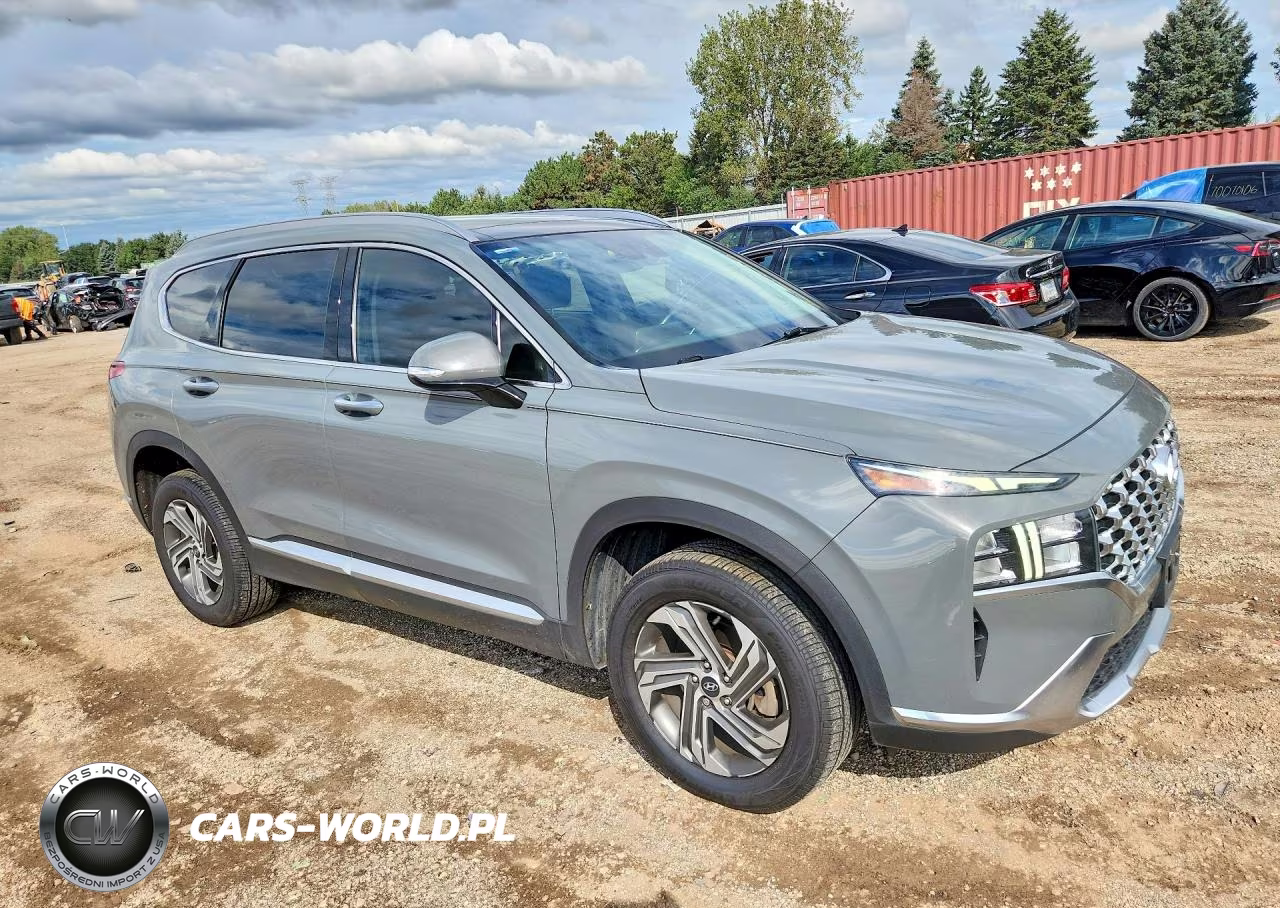 2021 Hyundai Santa Fe Sel VIN:5NMS3DAJ8MH329243 - 4