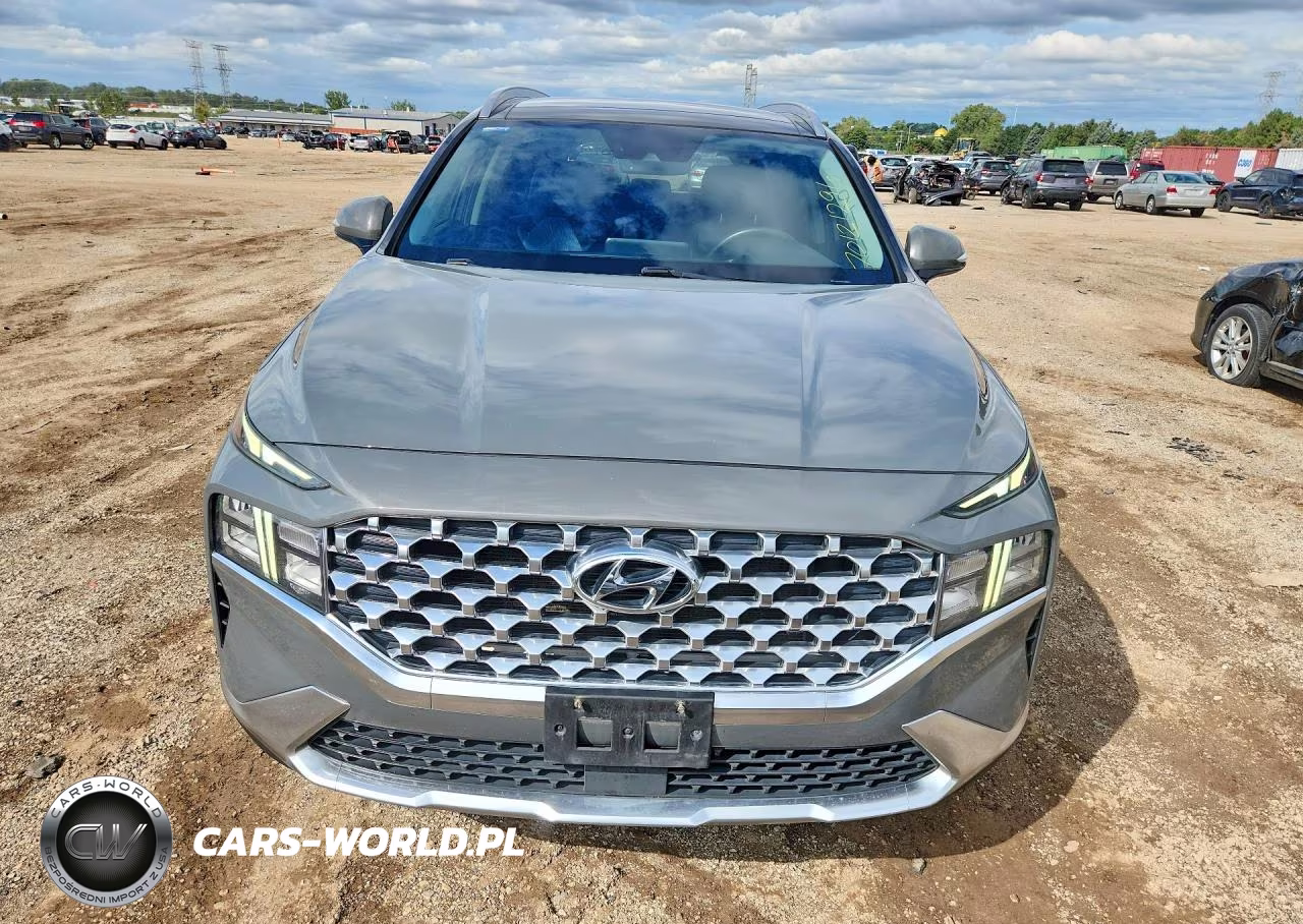 2021 Hyundai Santa Fe Sel VIN:5NMS3DAJ8MH329243 - 5