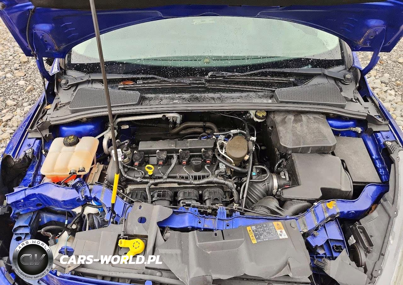 2015 Ford Focus Se VIN:1FADP3F27FL213046 - 11