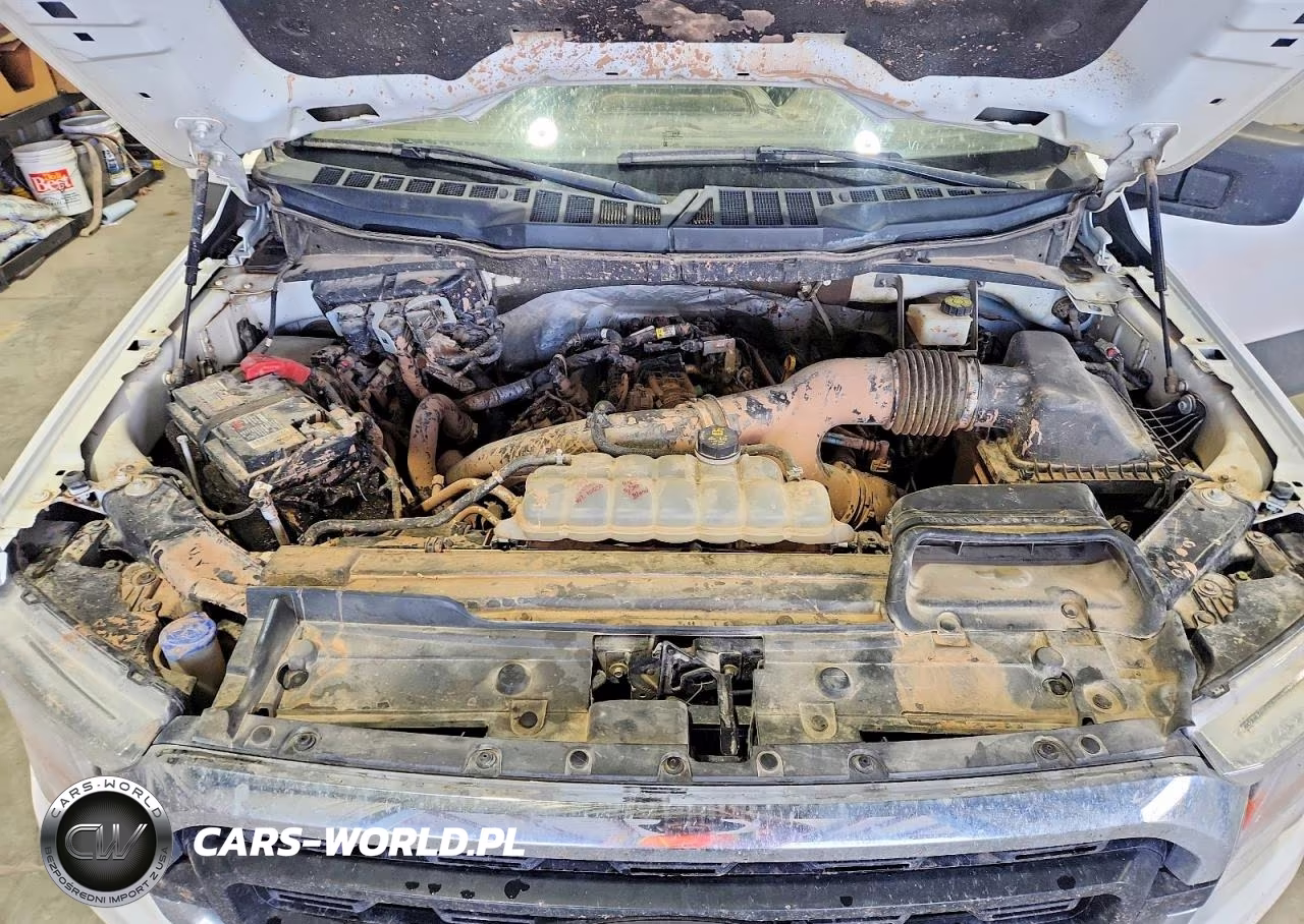 2021 Ford F150 Supercrew VIN:1FTEW1EP8MKE00222 - 11