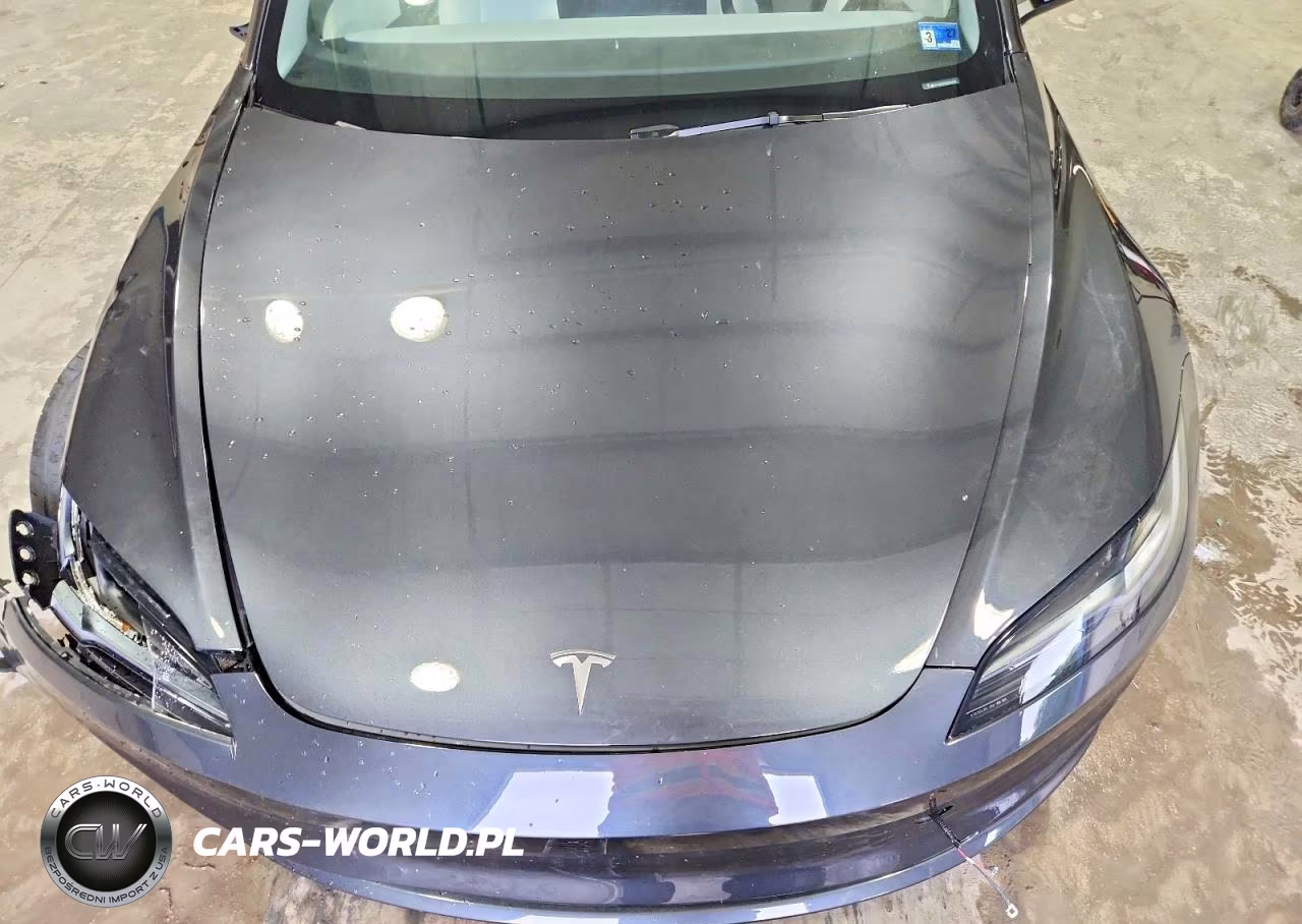 2025 Tesla Model 3 VIN:5YJ3E1EA4SF904119 - 11