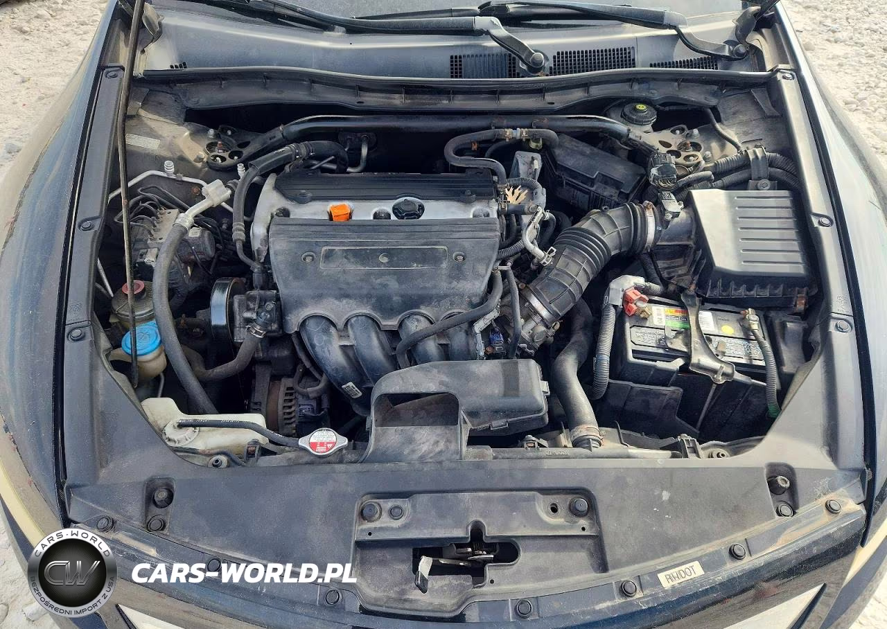 2009 Honda Accord Exl VIN:1HGCS12809A004137 - 11