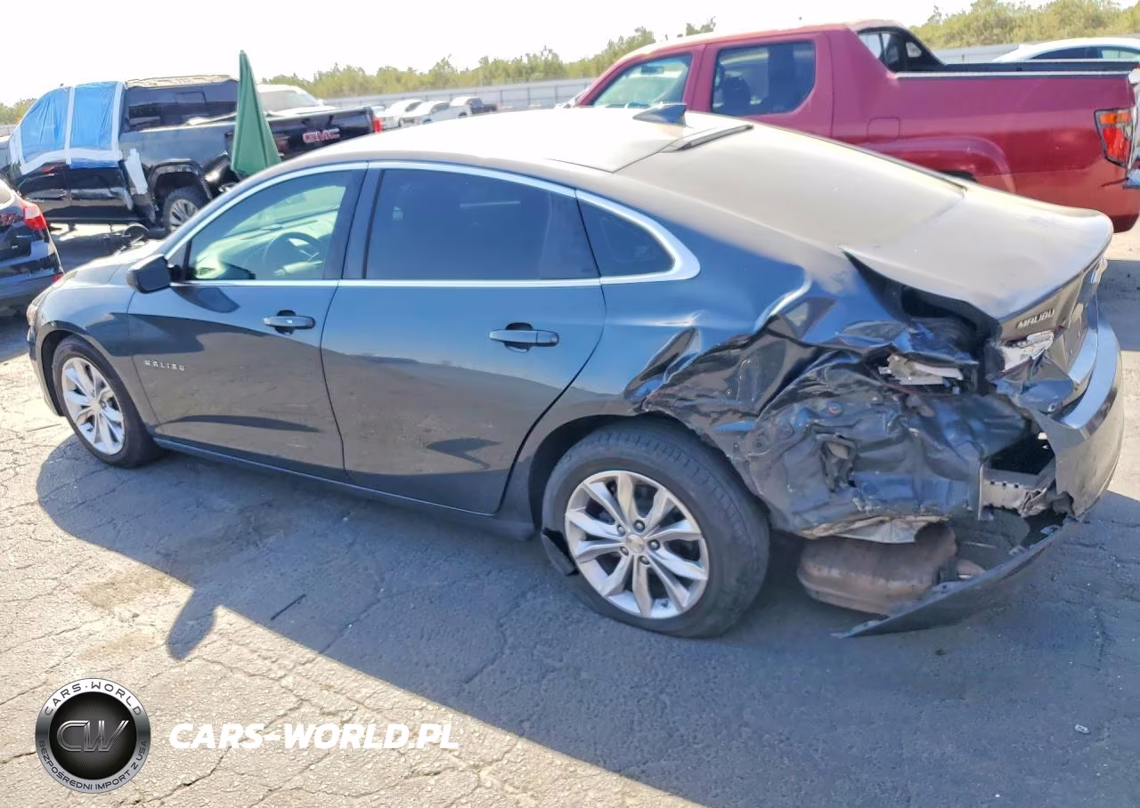 2019 Chevrolet Malibu Lt VIN:1G1ZD5ST8KF171765 - 2