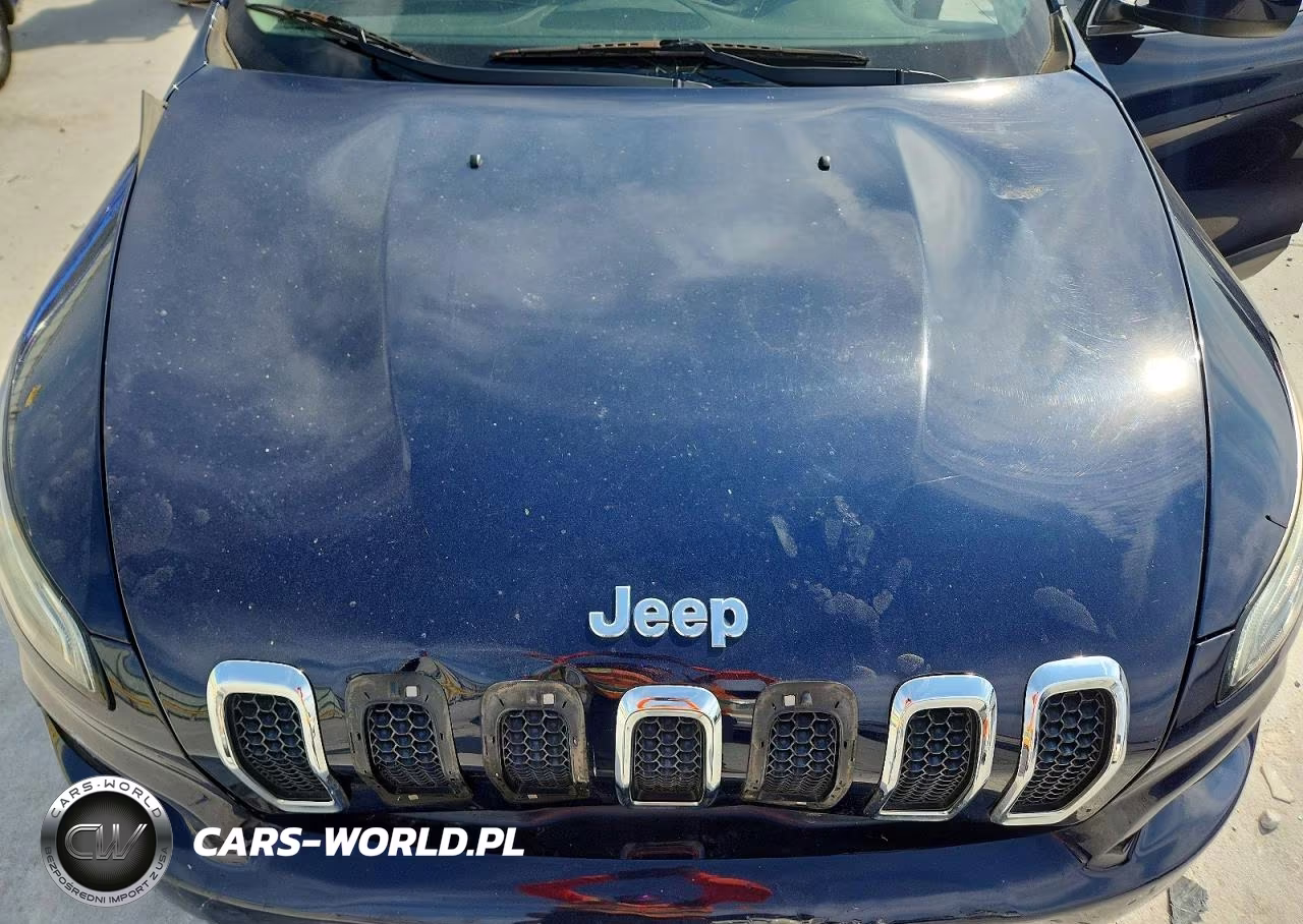 2016 Jeep Cherokee Latitude VIN:1C4PJLCB7GW257447 - 12