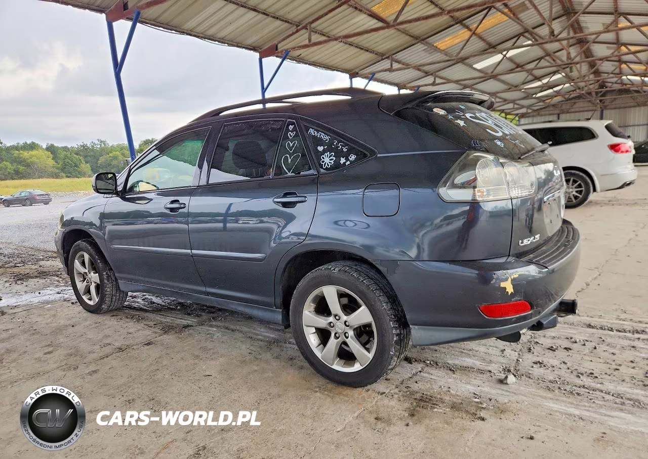 2004 Lexus Rx 330 VIN:JTJHA31U440067464 - 2