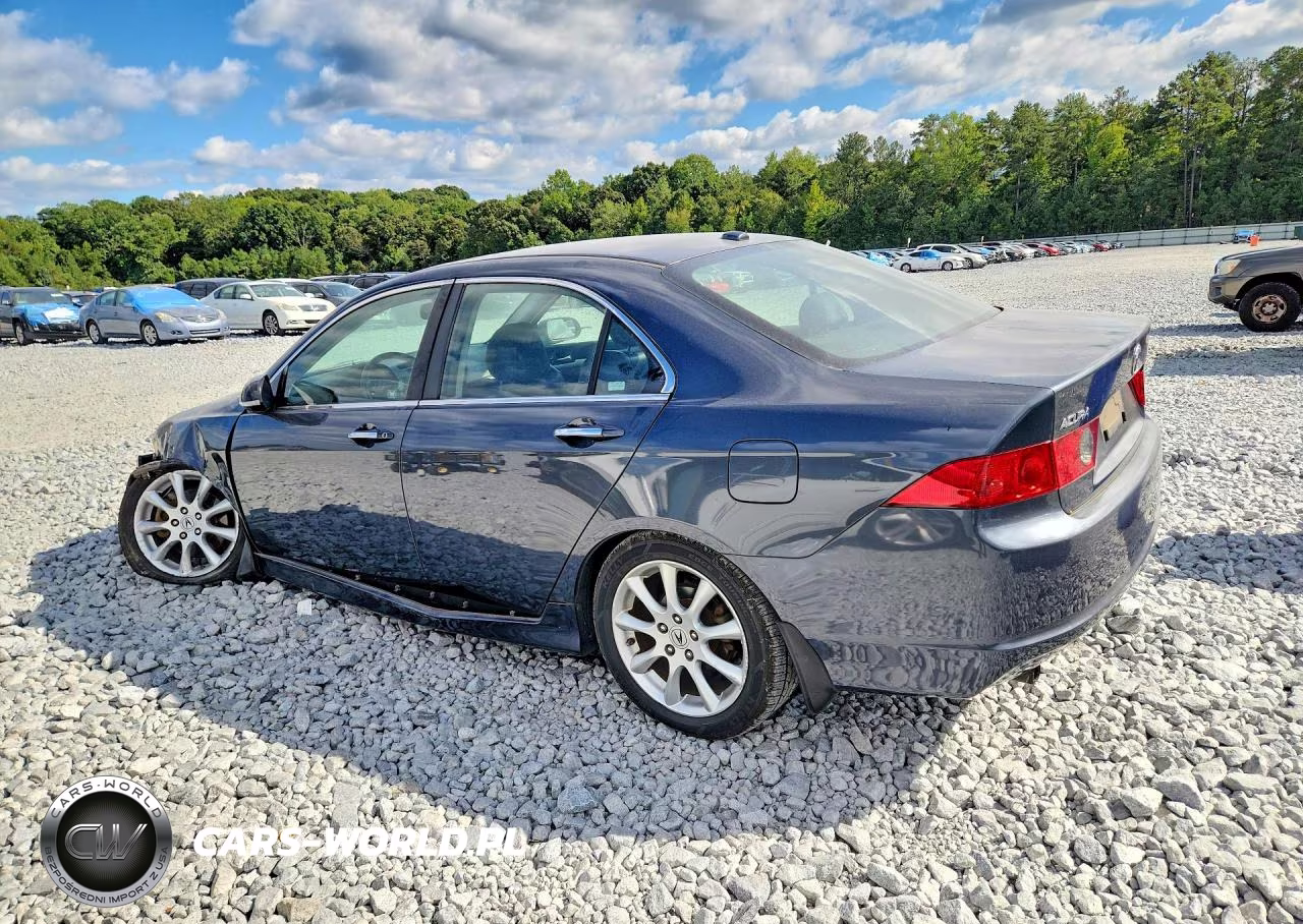 2007 Acura Tsx VIN:JH4CL96847C005392 - 2