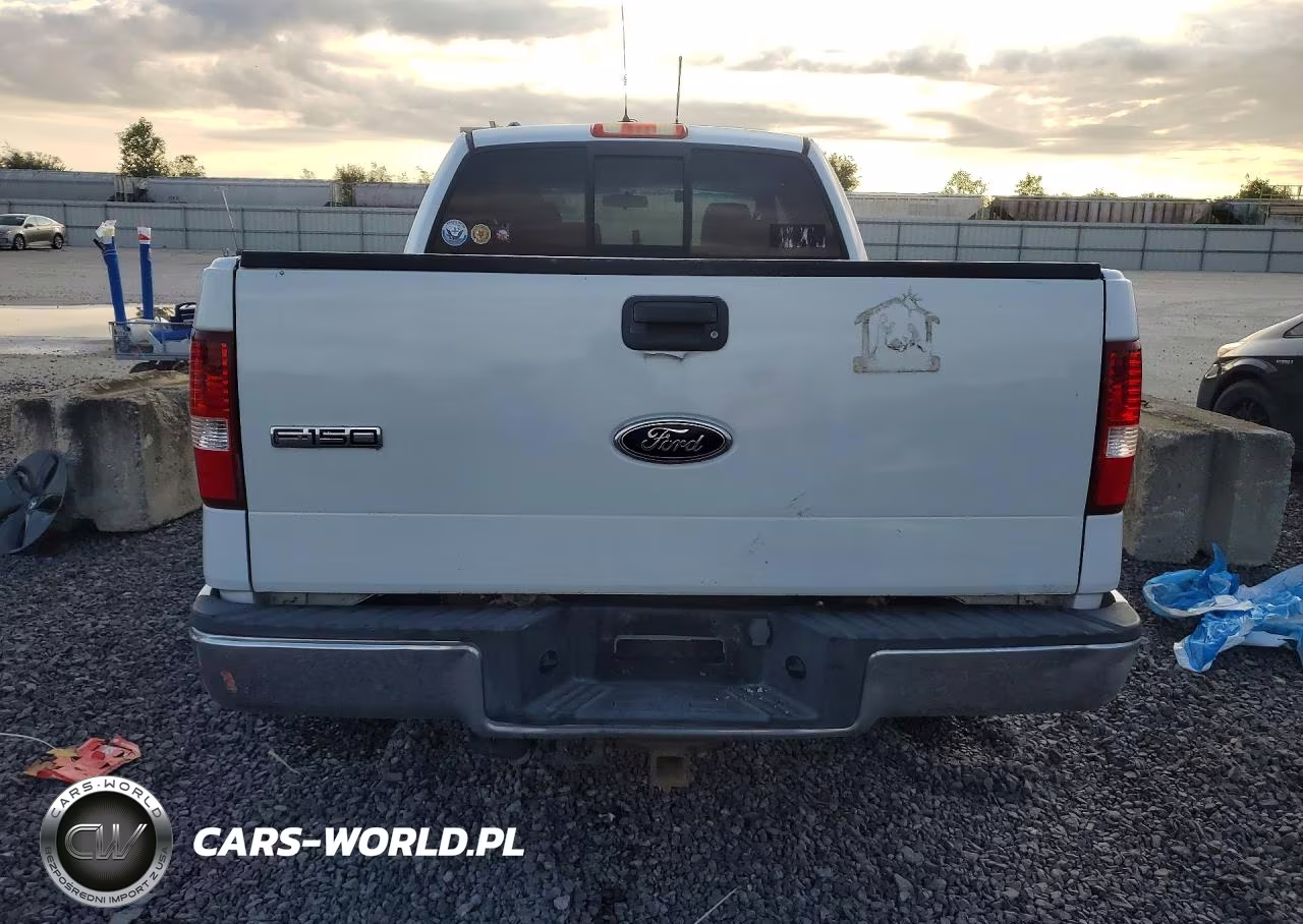 2004 Ford F150 Xlt VIN:1FTRX12W84FA06058 - 6