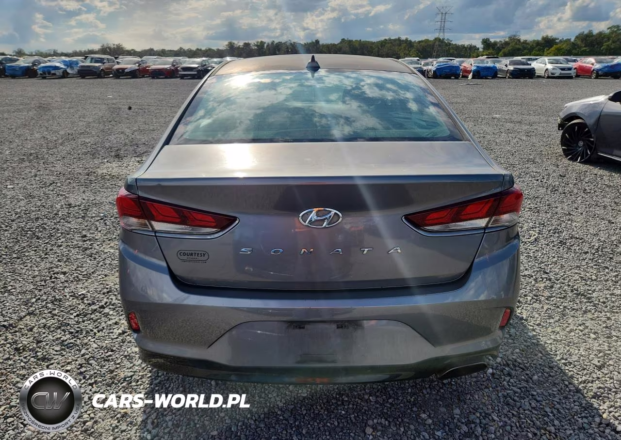 2019 Hyundai Sonata Sel VIN:5NPE34AF4KH735836 - 6