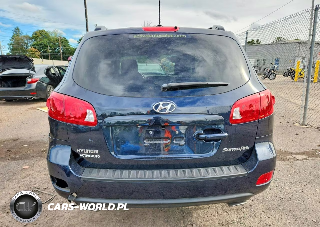 2009 Hyundai Santa Fe Se VIN:5NMSH13E59H241421 - 6