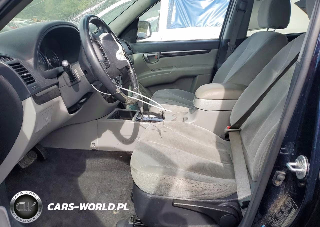 2009 Hyundai Santa Fe Se VIN:5NMSH13E59H241421 - 7