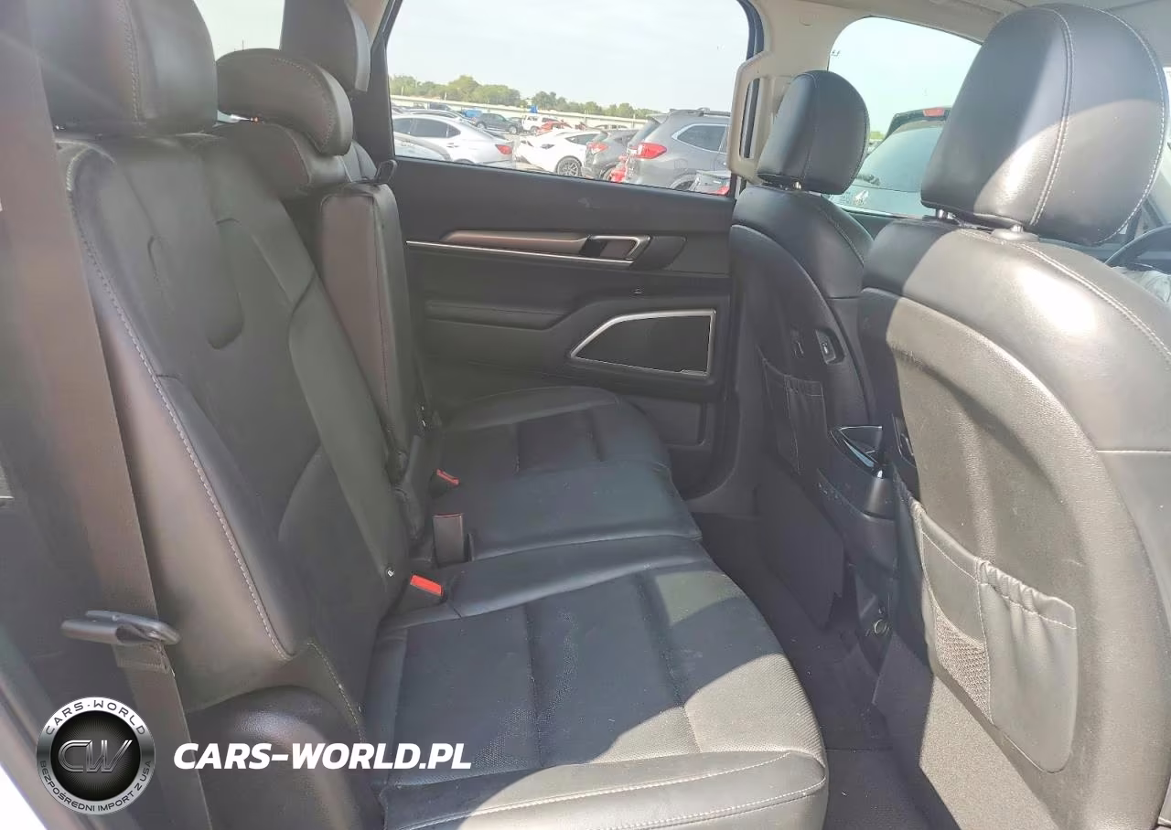 2021 Kia Telluride Lx VIN:5XYP2DHC5MG164679 - 10