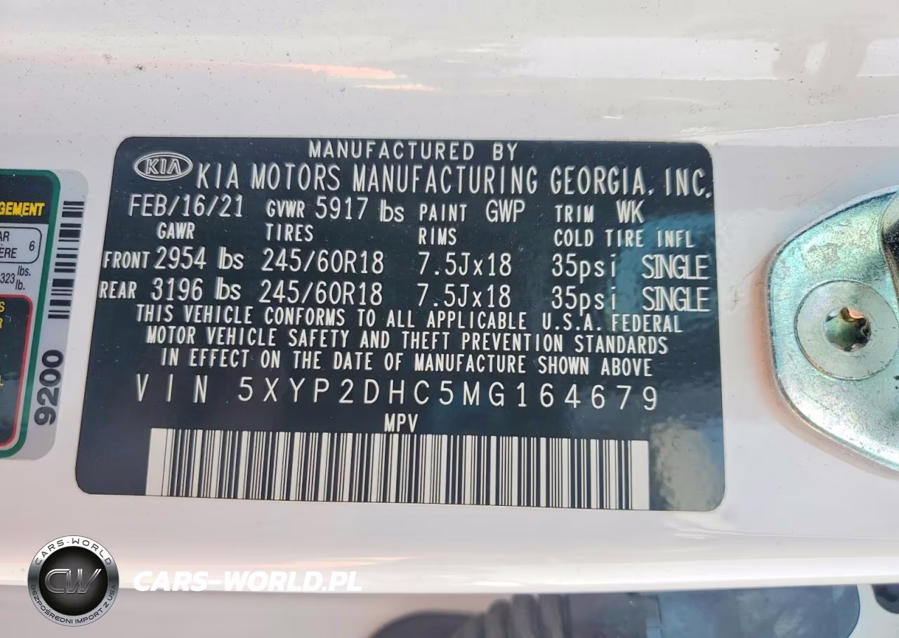 2021 Kia Telluride Lx VIN:5XYP2DHC5MG164679 - 12