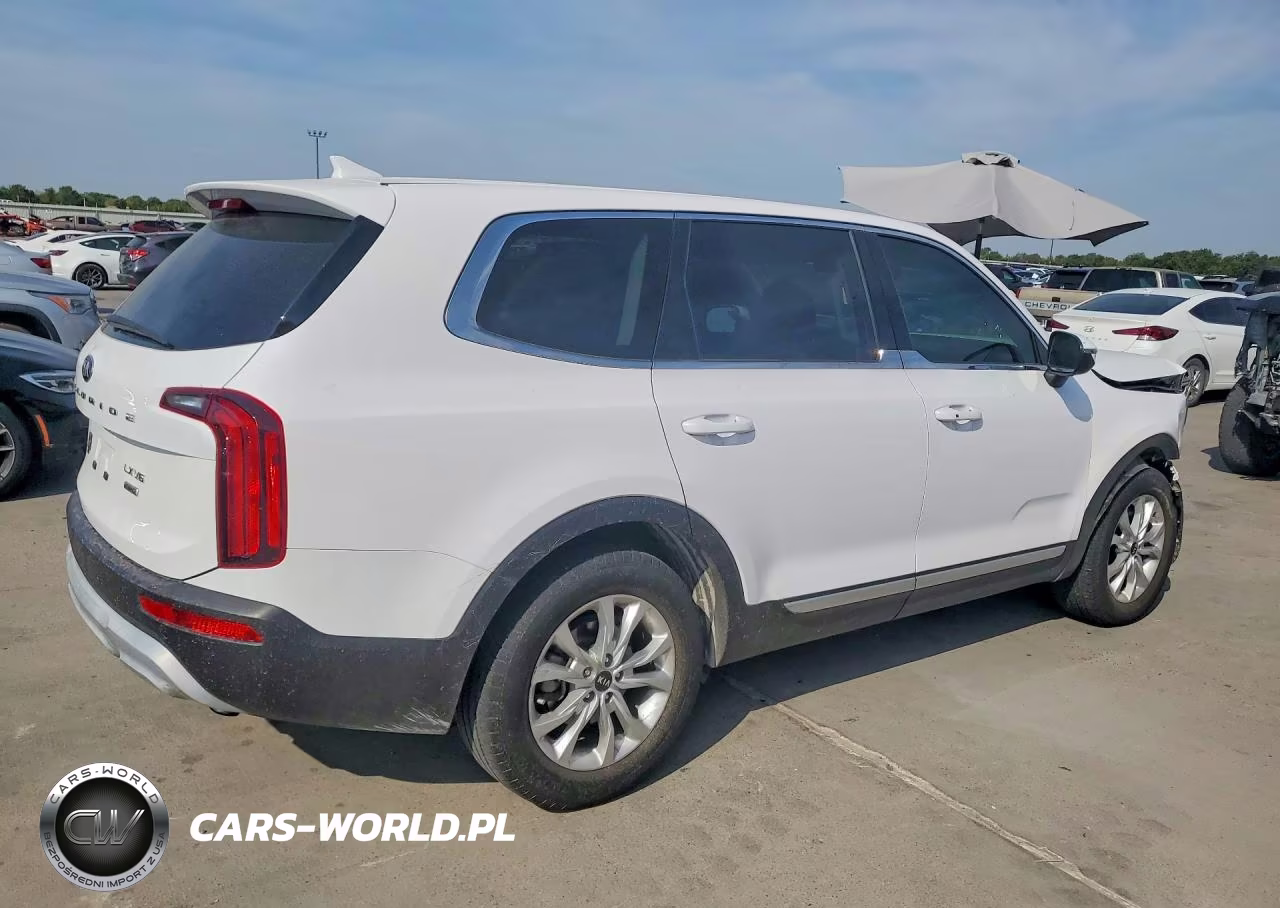 2021 Kia Telluride Lx VIN:5XYP2DHC5MG164679 - 3