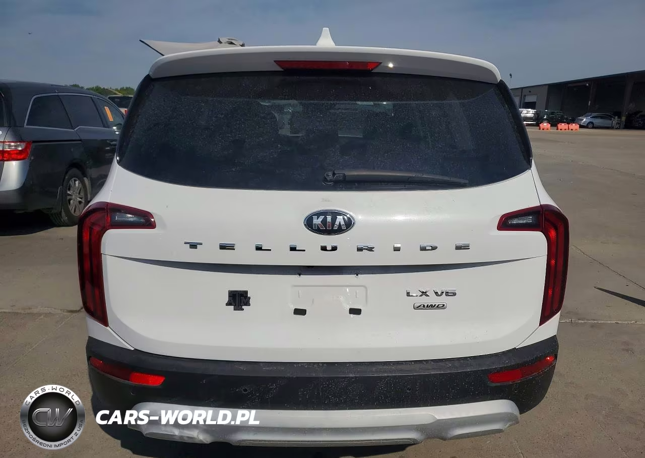 2021 Kia Telluride Lx VIN:5XYP2DHC5MG164679 - 6