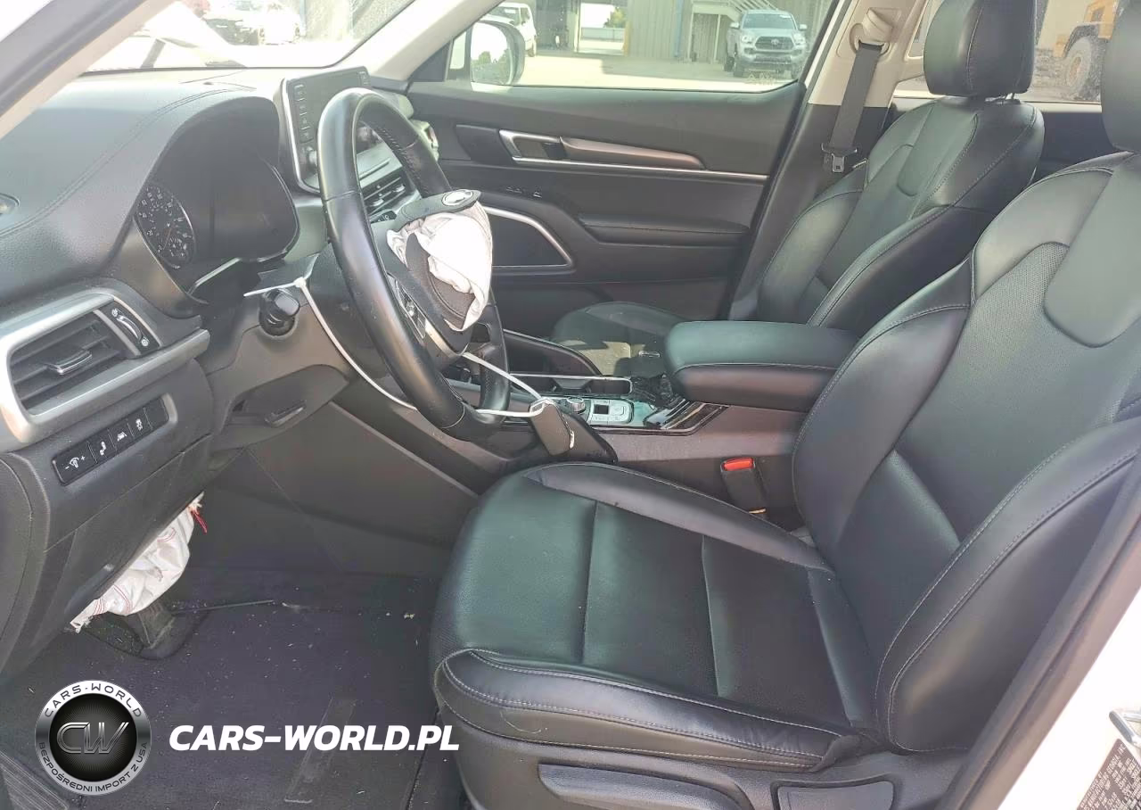 2021 Kia Telluride Lx VIN:5XYP2DHC5MG164679 - 7