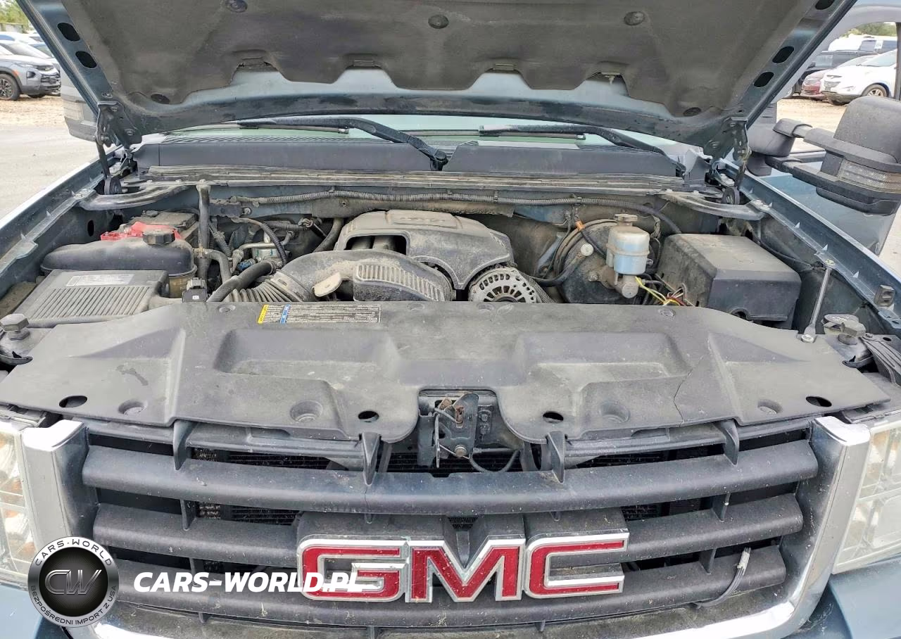 2009 GMC Sierra K1500 VIN:3GTEK13379G243969 - 11