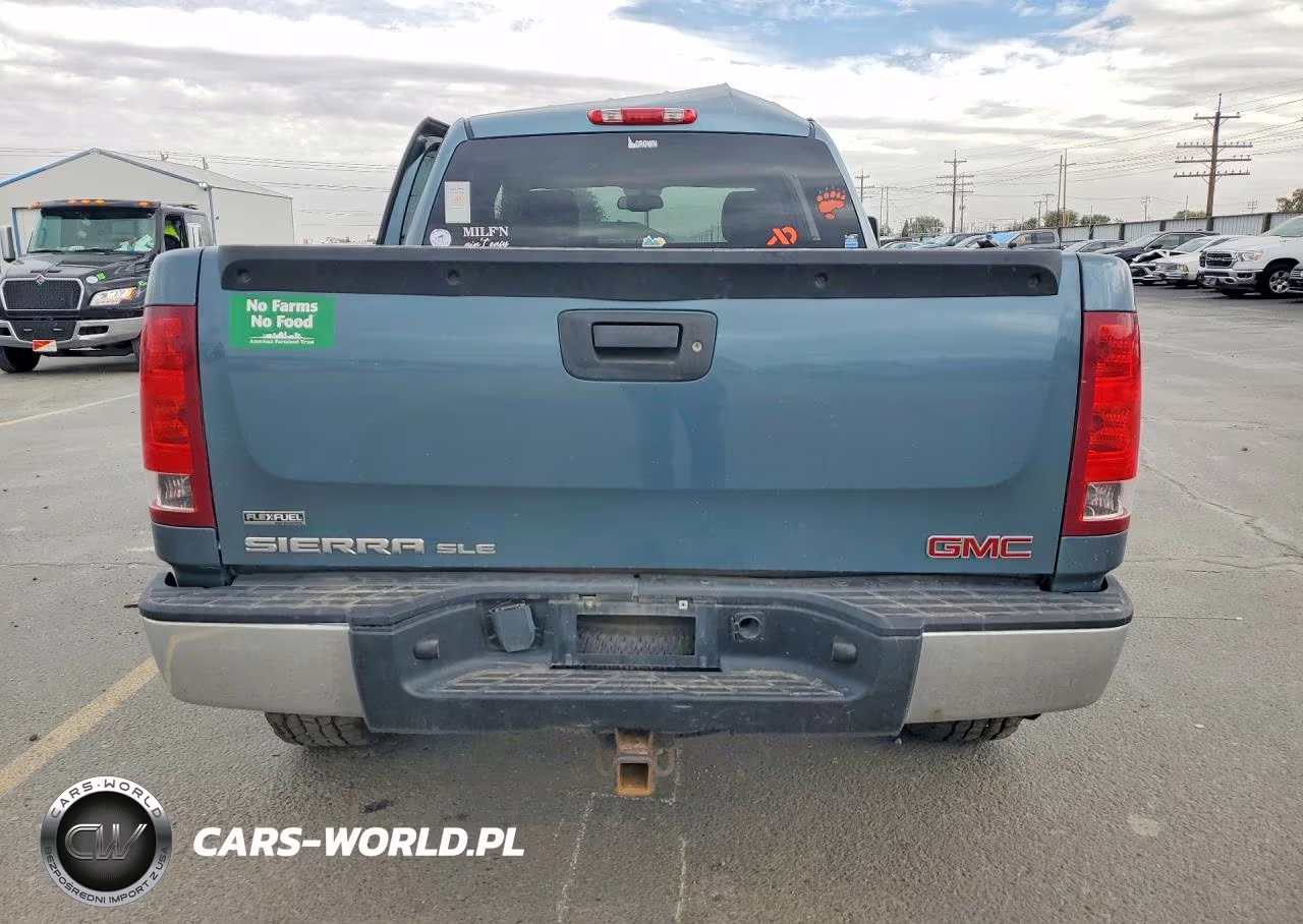 2009 GMC Sierra K1500 VIN:3GTEK13379G243969 - 6