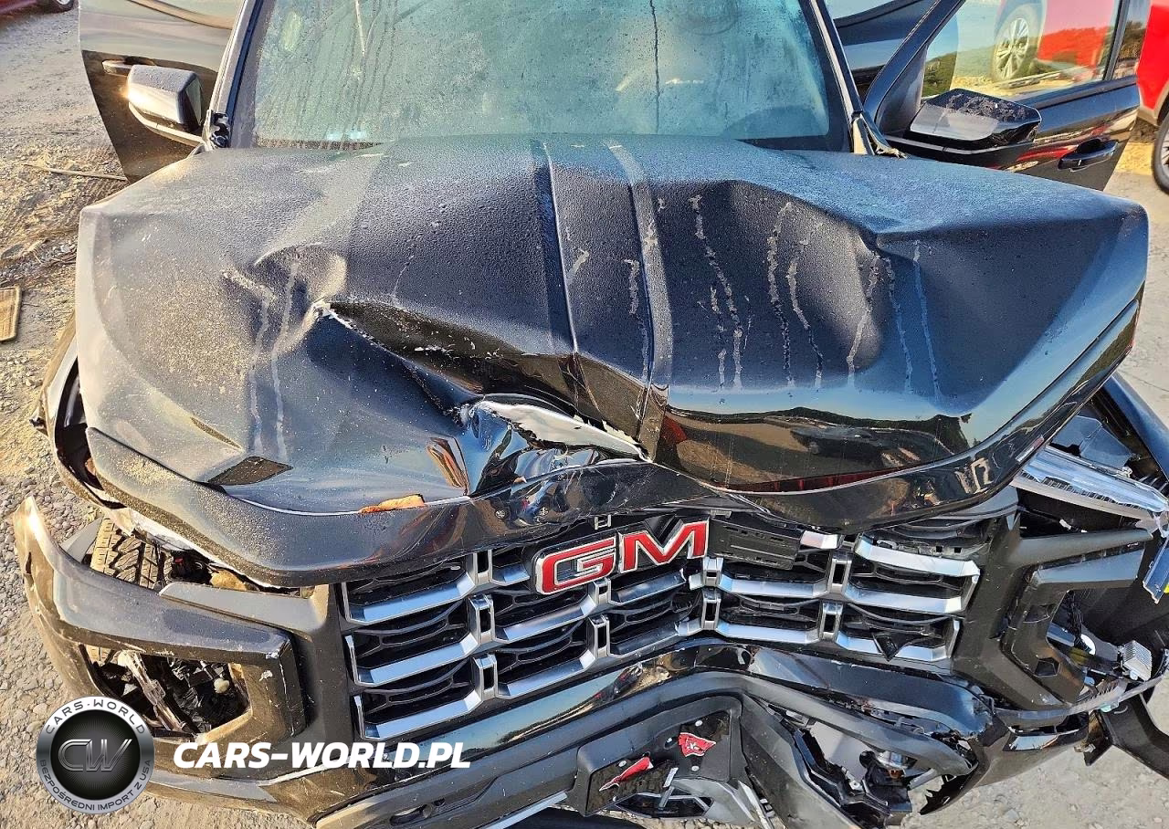 2025 GMC Canyon At4 VIN:1GTP2DEKXS1238364 - 11