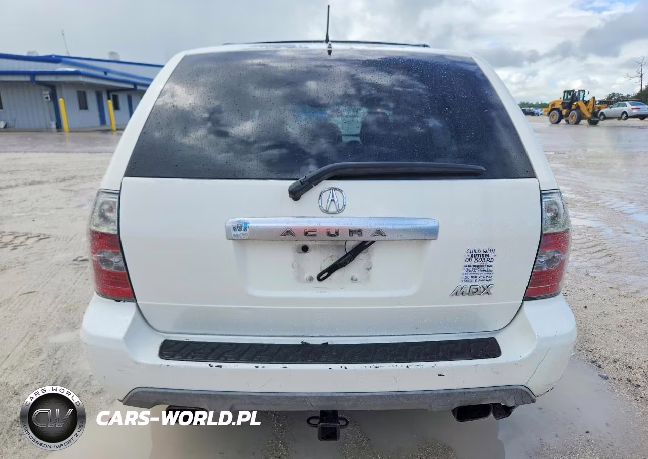 2004 Acura Mdx Touring VIN:2HNYD18694H538729 - 6