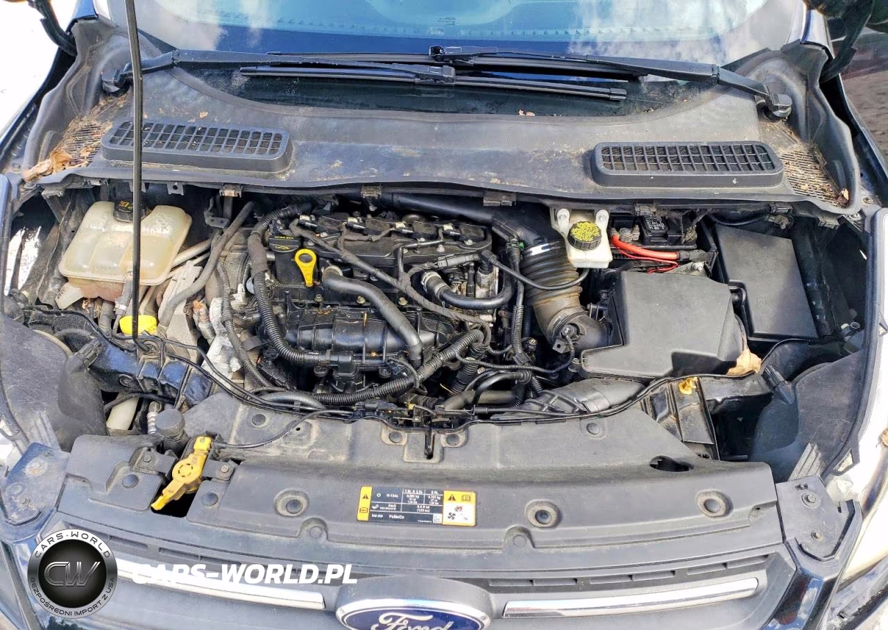 2016 Ford Escape Se VIN:1FMCU0GX1GUC62094 - 11