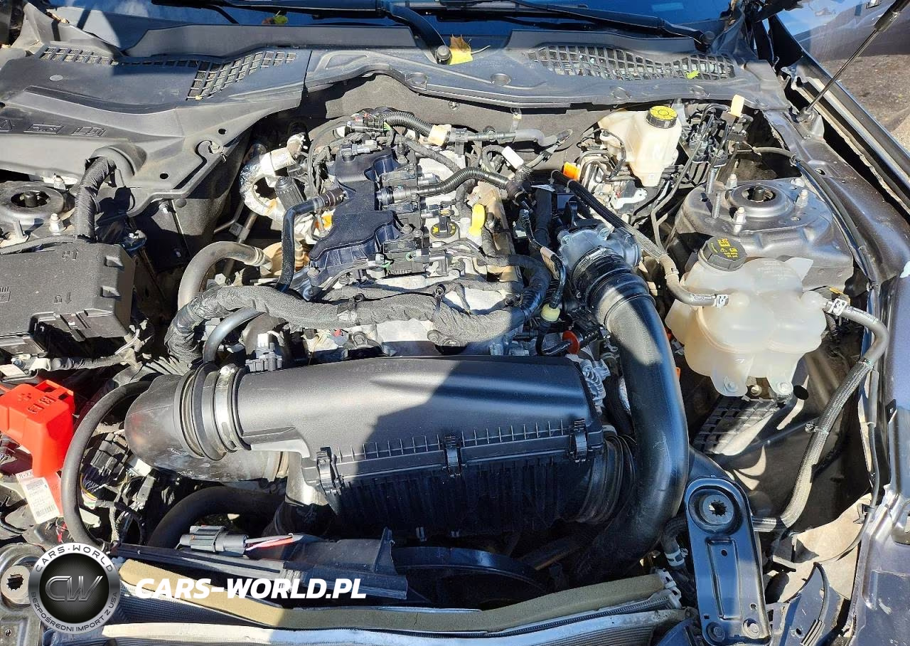 2024 Ford Mustang VIN:1FA6P8TH4R5117804 - 11