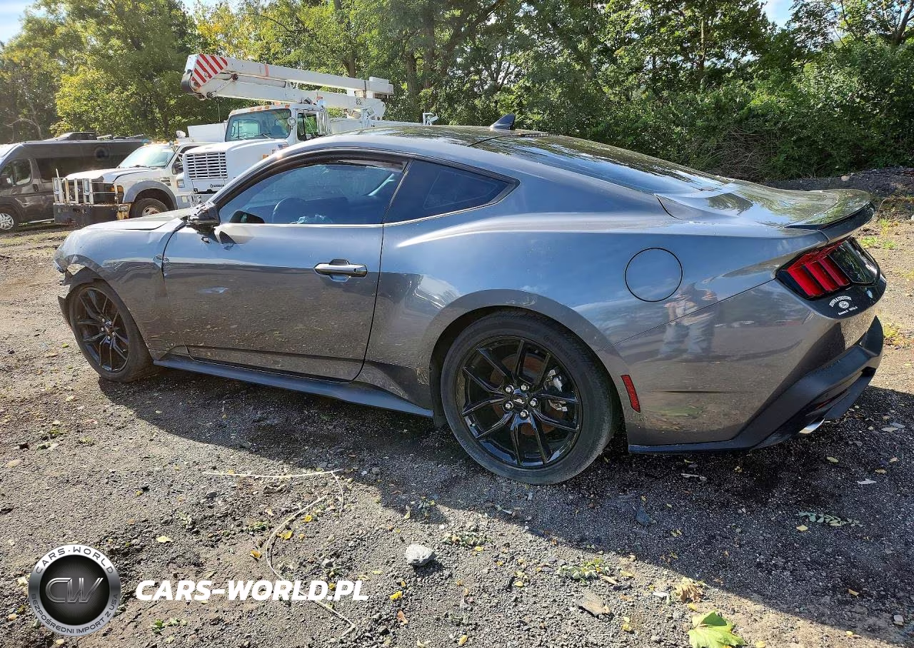 2024 Ford Mustang VIN:1FA6P8TH4R5117804 - 2