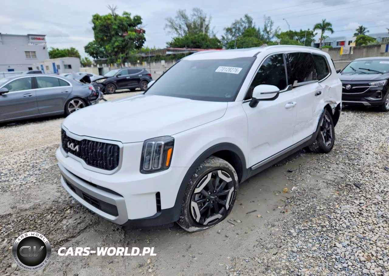 2024 Kia Telluride Ex VIN:5XYP34GC5RG418431 - 1