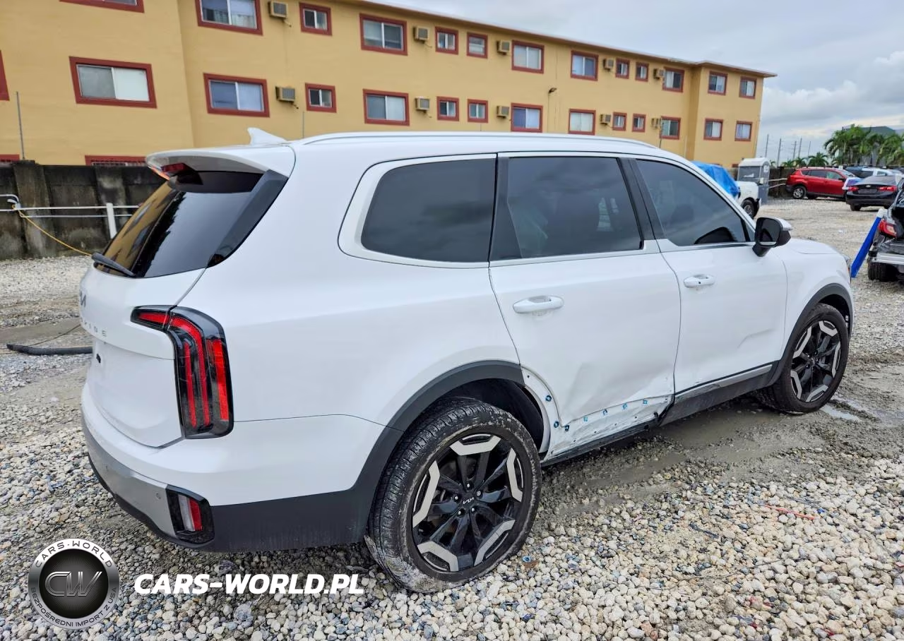2024 Kia Telluride Ex VIN:5XYP34GC5RG418431 - 3