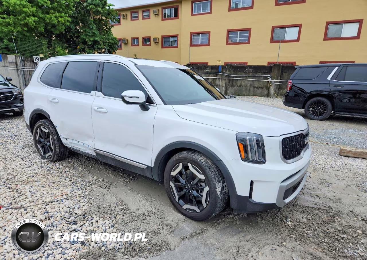 2024 Kia Telluride Ex VIN:5XYP34GC5RG418431 - 4